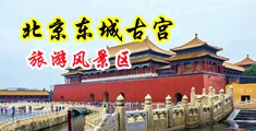 肥臀骚女色欲AV中国北京-东城古宫旅游风景区